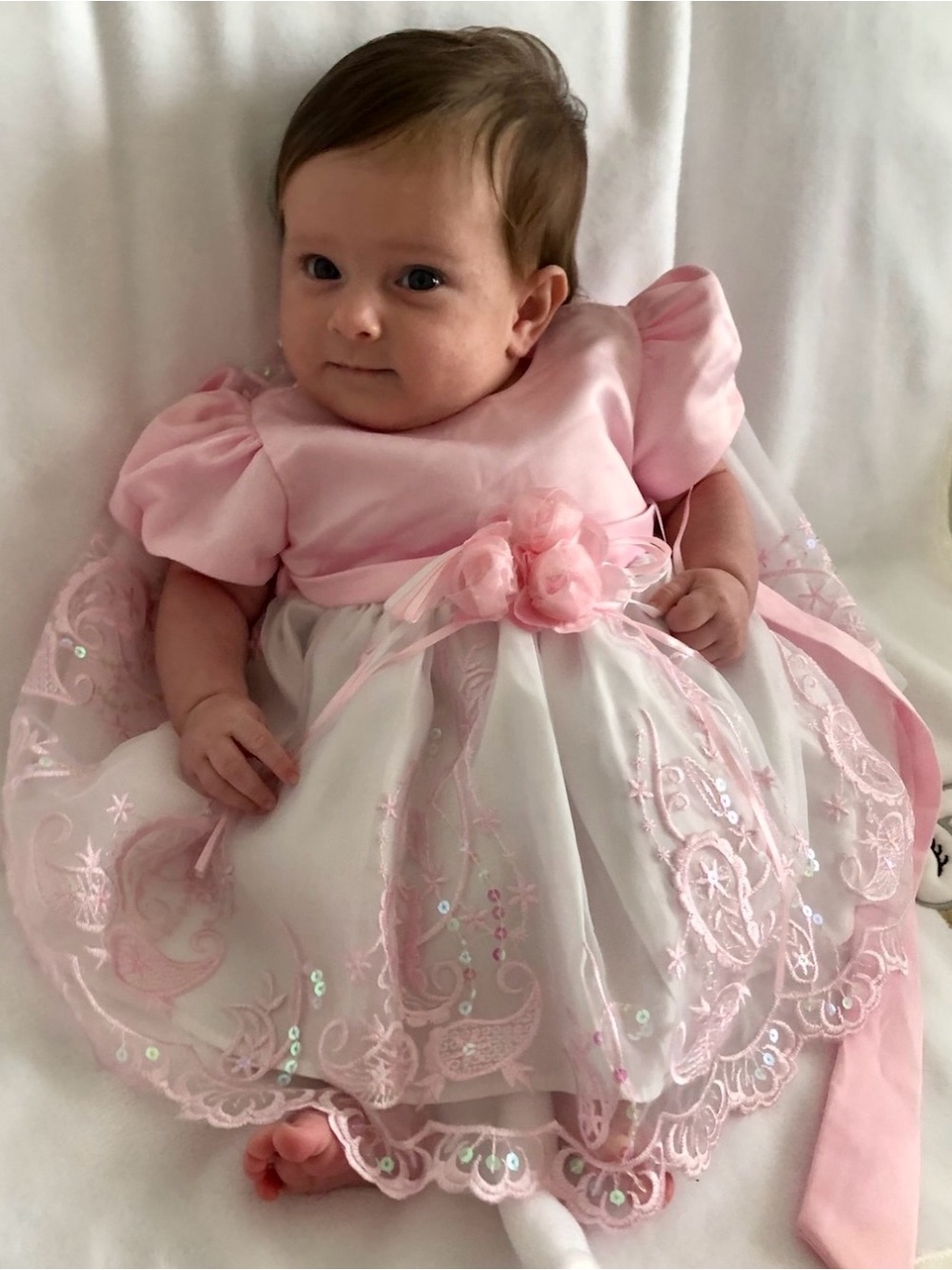 Shanil USA White Blush Pink Baby Party Baptism Dress 3M Tulle Embroidered Floral